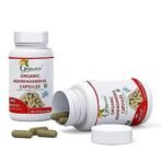 Grenera Ashwagandha Capsules - 90 Vegetarian Capsules - 500 mg per Capsule - Fast UK Delivery - Image 3