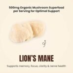 Rooted Actives Certified Organic Lions Mane Mushroom Extract Gummies | Memory, Focus, Brain Powder & Nerve Health | Usda Organic, No Sugar, Blueberry Flavor | Lions Mane Powder - Fast UK Delivery - Image 5