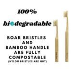 Gaia Guy Natural Bristle Bamboo Toothbrush Family Pack (NO Nylon - Boar Hair ONLY) - Totally Compostable & Biodegradable Boar Bristle and Bamboo Toothbrushes - Zero Waste - 4 Kids and 4 Adults - Fast UK Delivery - Image 4