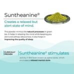 Wellbeing Nutrition Melts Calm & Relaxation | Suntheanine L-theanine, Magnesium & Chamomile - Natural Stress & Anxiety Relief to Uplift Mood and Reduce Cortisol (30 Oral Strips) - Image 3