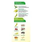 DiaBliss Herbal Diabetic Friendly Lemon Tea 500g - Low Glycemic Food - Diabetes - Image 5