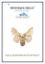 Mystique Hills Male Silkworm Moth Extract (100 g) - Image 2