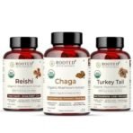 Rooted Active Naturals Organic Mushroom Extracts Combo - Reishi, Lion's Mane, Turkey Tail, 100% Fruit Body, No Fillers - Fast UK Delivery - Image 2