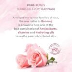 WOW Skin Science Himalayan Rose - 99% Pure Rose Water | Roses Sourced from Kannauj | Hydrates and Refreshes Skin | All Skin Types|For Men and Women | Paraben Free | 100 ml - Fast UK Delivery - Image 4