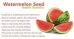 OrganoNutri Roasted Watermelon Seeds - Unsalted | Roasted Magaj (450g) - Fast UK Delivery - Image 5