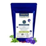 Golden Tips Butterfly Pea Flower Tea Turquoise Trail Herbal Infusion Tea (100gm- 50 Cups) - Fast UK Delivery - Image 2