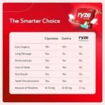RYZE Fruit Blast Nicotine Gum 2 gm | Pocket-Friendly Pack of 30 (90 gums) | Freedom from Smoking & Tobacco | Easy on Throat | WHO & FDA Approved | Sugar Free | Teeth Whitening - Image 6