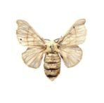 Mystique Hills Male Silkworm Moth Extract (100 g) - Image 3