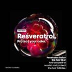 L'Oreal Professionnel Vitamino Color Hair Mask with Resveratrol for Color-treated Hair, Serie Expert, 250gm - Fast UK Delivery - Image 6