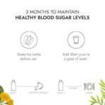 Kapiva Dia Free Juice (4 L) | For Holistic Blood Sugar Care | Amla, Karela, Jamun, Guduchi & 7 More - Super Saver Pack of 4 - Fast UK Delivery - Image 6