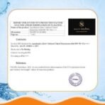 Aqualogica Glow+ Infused Tinted Sunscreen For All Skin Types Spf 50+ Pa++++ With Papaya & Vitamin C | Protection Against Uva/B | Universal Tint | For Glowing & Sun-Safe Skin | 50 Gm, Pack Of 1 - Fast UK Delivery - Image 7