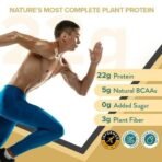 Wellbeing Nutrition Organic Vegan Plant Protein Isolate Powder | 22g Protein, 5g BCAA European Pea & Brown Rice Protein | Superfoods, Fiber for Muscle Growth & Recovery | Italian Cafe Mocha - 500gm - Image 3