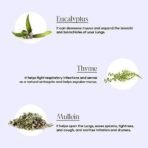 Oraah Lungs Cleanse Tea for Anti smoking with Mullein and Eucalyptus Leaves | All-Natural Formulation | Organic Herbal Tea | Lungs Detox Tea (100 Grams) - Fast UK Delivery - Image 5