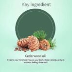 Ayouthveda Cedarwood Essential Oil for Skin & Hair | Aromatherapy Kit for Stress Relief & Relaxation | 100% Pure & Natural Therapeutic Grade |Can Be Used as Air purifier (Pack Of 1; 15ml) - Fast UK Delivery - Image 6