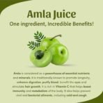 Sri Sri TATTVA shuddhta ka naam Amla Juice, 1Litre (Pack Of 1) - Fast UK Delivery - Image 3
