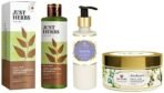 Just Herbs Hair Care & Hair Growth Combo With Conditoner For Normal Hair, Shampoo & Hair Mask, 3 count (Neem and Alma) - Fast UK Delivery - Image 2