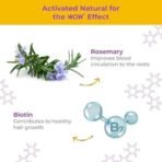 WOW Skin Science Rosemary with Biotin Hair Growth Oil | Stimulates New Hair Growth | Controls Hair Fall & Reduces Hair Breakage | Gives Healthy Hair (Pack of 2) - Fast UK Delivery - Image 4