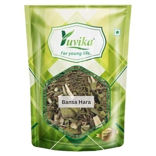 uk41kggB3auBL-1.jpg YUVIKA Bansa Hara - Adusa - Adoosa - Vasa - Adhatoda vasica Nees - Malabar Nut Tree (800 Grams) - Fast UK Delivery - Image 1