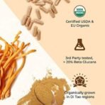 Rooted Actives Cordyceps Mushroom Extract (60 caps, 500 mg) |Energy, Stamina, Supports Testosterone, Virility, Lung health |USDA Organic, 20% Beta Glucans - Fast UK Delivery - Image 7