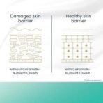 Dove Advanced Sensitive Care Bodywash| Ceramide Nutrient Cream| 250 ml Hypoallergenic Bodywash - Fast UK Delivery - Image 7