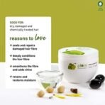 Plum Olive Hair Mask For Damaged Hair, Coloured Hair, Salon Treated Hair | With Olive Oil, Plant Keratin, Macadamia Oil And Shea Butter | Hair Spa Cream For Women & Men | 250Gm, 1 Count - Fast UK Delivery - Image 3