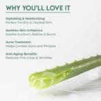 Jovees Herbal 100% Pure Aloe Vera Gel for Face, Hair (200gm) | Hydrating & Soothing Gel for Acne Scars, Blemishes, Anti-Aging & Skin Redness | Multipurpose Aloe Vera Gel for Moisturization, Dandruff Control & Day-to-Night Skin Protection - Fast UK Delivery - Image 7