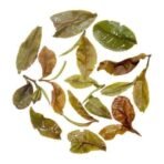 Gopaldhara Darjeeling Tea Honey Oolong Spring 50g Paper Box - First Flush Oolong Tea - (Master Series) From the Gopaldhara Tea Estate Highest Elevation 7000 Feet - Fast UK Delivery - Image 5
