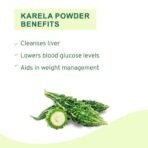 Organic Bites Karela (Momordica Charantia/Bitter Gourd) Powder -100 gm - Fast UK Delivery - Image 2