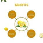 Jovees Herbal Lemon Face Wash with Lemon, Orange Peel & Kakadu Plum Extract | Removes Dirt, Impurities & Excess Oil | Reduces Dark Spot | Skin Brightening (120 ml) - Fast UK Delivery - Image 5