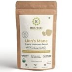 Rooted Actives Lions Mane mushroom Extract (120 g) | Memory, Focus, Brain Powder & Nerve Health. USDA Organic, 38% Beta Glucans - Fast UK Delivery - Image 2