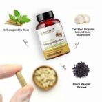 Rooted Ashwagandha Root Capsules (5% Withanolides), With Lions Mane Mushrooms |Supports Stress, Anxiety Relief, Energy & Immunity |60 Caps, 500 Mg - Fast UK Delivery - Image 3