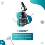 ISVARA AYURVEDA Anti-Aging Serum with Frankincense Essential Oil - Treats Fine Lines, Wrinkles, and Boosts Collagen for All Skin Types - 30ml - Fast UK Delivery - Image 6