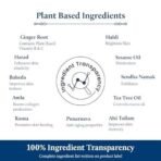 Blue Nectar Ginger Oil Anti Cellulite Body Massage Oil for Skin Tightening, Toning & Hydration | Authentic Ginger Root Massage Oil with Plant Based Vitamin B & C for Women and Men (11 Herbs, 100ml) - Image 7