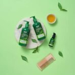 WOW Skin Science Green Tea Restoring Gift Kit for Men & Women | Premium Luxury Gift Set | Diwali Gift Kit | Skin & Hair Care | Shampoo, Conditioner, Face Serum | Combo Pack of 3 - Fast UK Delivery - Image 5