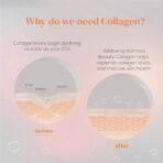 Wellbeing Nutrition Beauty Collagen with Hyaluronic Acid | Collagen Supplements for Women & Men | Collagen Powder with Biotin and Vitamins for Skin Radiance & Anti-Aging | 250g - Mango Peach Flavor - Image 5