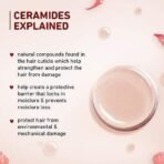 Plum Hibiscus & Ceramides Shampoo for Hair Growth | Provides Silky, Smooth & Long Hair | Repair Split End | Paraben Free shampoo for Women & Men | for All Hair Types | Safe for Daily Use | 250ml - Fast UK Delivery - Image 7