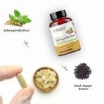 Rooted Ashwagandha Root Capsules (5% Withanolides), Pure Extract | Supports Stress, Anxiety Relief, Energy & Immunity | 60 Caps, 500 Mg Each - Fast UK Delivery - Image 7