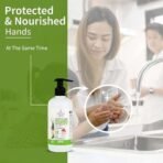 Ayouthveda Deep Clean Gentle Hand Wash | With Neem, Aloe Vera, Tulsi & Lotus | Gently Cleanses & Moiusturizes Hands |Germ Protection Formula Without Any Harsh Chemicals (Pack Of 1; 300ml) - Fast UK Delivery - Image 3
