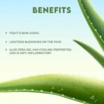 Jovees Herbal Aloe Vera Moisturising Lotion |With Sandal And Peach Extract |Nousishes, Heals and Hydrates Skin | For Oily And Sensitive Skin | Alcohol And Paraben Free |, 200ml - Fast UK Delivery - Image 5