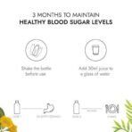 Kapiva Dia Free Juice, 1L | Clinically Proven Diabetic care | Amla, Karela, Jamun, Guduchi & 7 More (Pack of 2) - Fast UK Delivery - Image 7