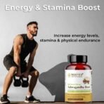 Rooted Ashwagandha Root Capsules (5% Withanolides), With Lions Mane Mushrooms |Supports Stress, Anxiety Relief, Energy & Immunity |60 Caps, 500 Mg - Fast UK Delivery - Image 6