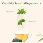 VAHDAM, Pure Mint Herbal Tea Bags - 50 Pyramid Tea Bags | Caffeine Free, Non-GMO, Gluten-Free | 100% Pure Herbal Tisane - Sweet & Minty | Whole Loose-Leaf Tea Bags | Resealable Ziplock Pouch - Fast UK Delivery - Image 3