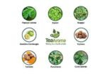 Tea Aroma Teatox Ayurveda - |14 Ayurveda Herbs & Barks| Weight management |Detox| Immunity Booster| Garcinia Cambogia| Triphlaa| Punarnava|Guggul|Papaya Leaves| Organic|100g|Loose leaves - Fast UK Delivery - Image 5