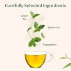 VAHDAM, Mint Green Tea Bags (50 Count) | Low Caffeine, Non-GMO, Gluten-Free, Naturally High Grown Green Tea | Resealable Ziplock Pouch | Plant - Based Pyramid Tea Bags | Direct from Source - Fast UK Delivery - Image 3
