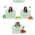 Parachute Advansed Sampoorna Coconut Hair Oil with 5 Herbs (Hibiscus, Curry Leaves, Methi, Amla & Aloe), For Long, Thick & Black Hair, 80ml - Fast UK Delivery - Image 6