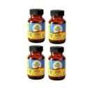 ORGANIC INDIA Turmeric Formula 60 Capsules | Strong anti-inflammatory | Enhances Skin, Bone, and Joint Health - (Pack of 4) - Image 2