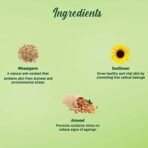 Biotique Wheat Germ Anti- Ageing Night Cream | Reduces Fine Lines | Lightens dark Spots | 100% Botanical Extracts | Suitable for All Skin Types | 50g - Image 6