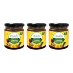 DiaBliss Diabetic Friendly Pineapple Ginger Jam 225g Sugar Free - Pack of 3 - Combo Pack 675 g - Diabetes - Image 2