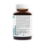 Sri Sri TATTVA shuddhta ka naam NAOQ19 - Anti Viral, 60 Tabs | 500mg - Image 6
