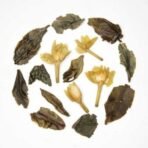 Gopaldhara Darjeeling Tea Jasmine Flower White Tea 100g Paper Box - (Classic Series) From The Gopaldhara Tea Estate Highest Elevation 7000 Feet - Fast UK Delivery - Image 6